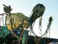 IMG_0142