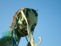 IMG_0149